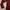 Fuzzy Cardigan Maroon Flower Motif photo 2