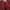 Fuzzy Cardigan Maroon Flower Motif photo 3