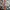 Amanda Bellan London Watch jam tangan wanita pria casio vtg photo 8