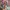 Amanda Bellan London Watch jam tangan wanita pria casio vtg photo 5