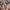 Amanda Bellan London Watch jam tangan wanita pria casio vtg photo 6
