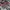 VISION STREET WEAR Faux Fur Hooded Blouson boxy fit photo 6