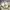 Dickies Streetwear Skater Casual pants Pria khaki photo 1