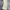 Dickies Streetwear Skater Casual pants Pria khaki photo 3