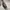 RARE‼️ shoulder bag Guess Vintage 2in1  photo 6