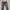 Lee jeans straight cut button photo 1