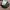 Lee jeans straight cut button photo 4