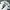 Original Jersey FC Porto Aboubakar 2015/16 Third Ligue NOS photo 5