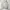 Carhartt Vintage Skater Hoody Pria silver photo 1
