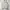 Carhartt Vintage Skater Hoody Pria Silver