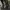 Shimano Fishing Xefo Durast Rain Short Jacket Gore Tex photo 6