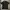 Kaos Hardy Hardy Diamond Mr Rabbit Size : S-M photo 3