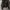 Japanese brand Avant Garde Biker Leather jacket Wanita black photo 7