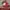 Goth Hat Pria Red