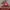 Goth Hat Pria red photo 3