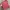 Guess woman jordyn crossbody bag photo 4