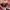 Guess woman jordyn crossbody bag photo 8