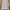 Acne studios polka dot college slogan paw14 crewneck sweatsh photo 6
