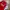 Arsenal 24/25 Home Jersey photo 2