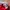 Arsenal 24/25 Home Jersey photo 4