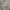 Thisisneverthat Pullover Hoodie - Grey photo 3