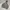 Thisisneverthat Pullover Hoodie - Grey photo 2
