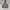 Thisisneverthat Pullover Hoodie - Grey photo 1