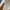 Sepatu Slip On Kasual/Loafers Wanita Merek Kickers photo 4