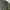 Carhartt Streetwear Y2K Hoody Pria gray photo 3