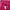 LECAF SPORTS WINBREAKER RUNNING OUTDOOR WOMEN JACKET | OUTER photo 5