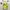 Y2K Coquette Shirt Wanita yellow photo 3
