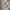 Burberry Streetwear Luxury T-shirt Wanita tan photo 4