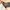 Coach - Empire Carryall Bag 34 photo 4