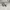 Salomon XT-4 Lab Sharkskin Dawn Blue photo 3