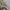 Vintage Regal Spirit Shawl Collar Outer photo 5