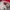 BERGHAUS BLOCKTECH WATERPROOF GORPCORE OUTDOOR JACKET | OUTE photo 6
