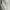 Giafranco Ferre Stripes Men shirt photo 4