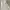 Lolita Coquette Robe Wanita white photo 3