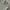 NII Cable Knit Button-Neck Sweater