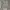 NII Cable Knit Button-Neck Sweater photo 1