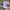 Nike Air Jordan Casual Sneakers Wanita purple pink photo 1