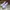 Nike Air Jordan Casual Sneakers Wanita purple pink photo 3