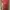 dress cheongsam photo 2