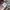 Arc’teryx Sun Shade Hat photo 4
