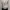SUBI white gothic victorian top photo 5