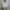SUBI white gothic victorian top photo 4