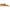 BOBBIES PARIS 'willow' cognac low top sneakers photo 2