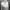 Tornado Mart Y2K Avant Garde Shirt Wanita white photo 4