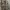 Burberry Casual T-shirt Pria tan photo 5