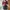 Top atasan Crop maroon  photo 2